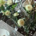 DSC01420.JPG